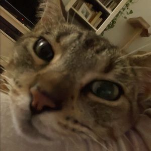 Meet your Posher, Natacha